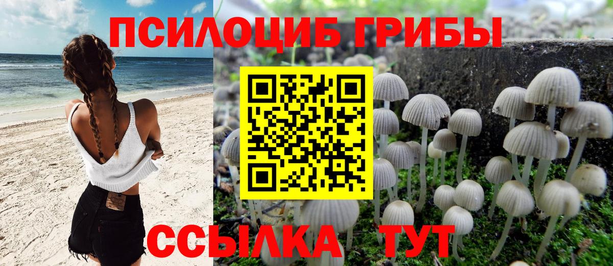 Галлюциногенные грибы Magic Shrooms  Вход с VPN  Мирный  Галлюциногенные грибы прущие грибы 