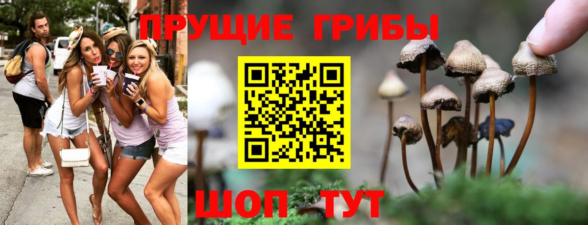 Галлюциногенные грибы ЛСД Мирный